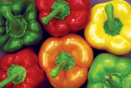 Top Crops: Gulf Coast Image